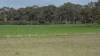 Lot 83 & 89 Walkington HIlls Road, Cadgee, SA 5271-Image