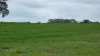 Lot 83 & 89 Walkington HIlls Road, Cadgee, SA 5271-Image
