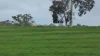 Lot 83 & 89 Walkington HIlls Road, Cadgee, SA 5271-Image