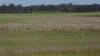 Lot 83 & 89 Walkington HIlls Road, Cadgee, SA 5271-Image