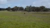Lot 83 & 89 Walkington HIlls Road, Cadgee, SA 5271-Image