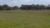 Lot 83 & 89 Walkington HIlls Road, Cadgee, SA 5271-Image
