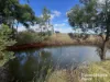 Lot 87 Ogilvys Road, Wooroolin, Qld 4608-Image