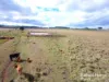 Lot 87 Ogilvys Road, Wooroolin, Qld 4608-Image