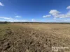 Lot 87 Ogilvys Road, Wooroolin, Qld 4608-Image