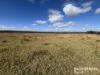 Lot 87 Ogilvys Road, Wooroolin, Qld 4608-Image