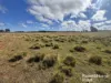 Lot 87 Ogilvys Road, Wooroolin, Qld 4608-Image