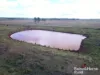 Lot 87 Ogilvys Road, Wooroolin, Qld 4608-Image