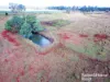 Lot 87 Ogilvys Road, Wooroolin, Qld 4608-Image