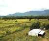 Lot 9 Milanesio Road, Kennedy, Qld 4816-Image