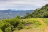 Lot 9 Somerset Road, Mount George NSW 2424-Image