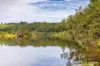 Lot 9 Somerset Road, Mount George NSW 2424-Image