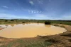 Lot 92 Pollies Plain Road, Miltalie, SA 5602-Image