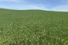 Lot 92 Pollies Plain Road, Miltalie, SA 5602-Image