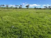 Lot 97 Wildman Road, Cowell, SA 5602-Image