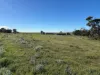 Lot 97 Wildman Road, Cowell, SA 5602-Image