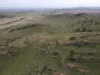 Lot 98 Crocker Hill Road, Pekina, SA 5431-Image