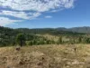Lots 2 & 63 Copeton Dam Road, Bingara, NSW 2404-Image