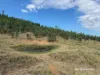 Lots 2 & 63 Copeton Dam Road, Bingara, NSW 2404-Image