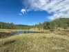 Lots 2 & 63 Copeton Dam Road, Bingara, NSW 2404-Image