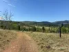 Lots 2 & 63 Copeton Dam Road, Bingara, NSW 2404-Image