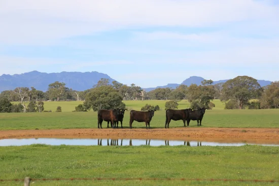 - Luhrs & Montana Road, Mooralla, Vic 3314