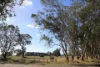 - Luhrs & Montana Road, Mooralla, Vic 3314-Image