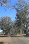 - Luhrs & Montana Road, Mooralla, Vic 3314-Image