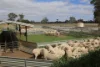 - Luhrs & Montana Road, Mooralla, Vic 3314-Image