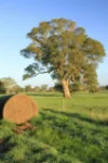 - Luhrs & Montana Road, Mooralla, Vic 3314-Image