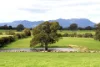 - Luhrs & Montana Road, Mooralla, Vic 3314-Image