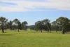 - Luhrs & Montana Road, Mooralla, Vic 3314-Image