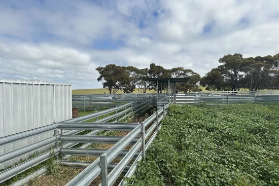 McLaren Road, Nyabing, WA 6341