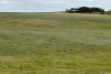 McLaren Road, Nyabing, WA 6341-Image