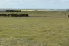 McLaren Road, Nyabing, WA 6341-Image