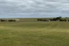 McLaren Road, Nyabing, WA 6341-Image