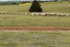 McLaren Road, Nyabing, WA 6341-Image