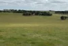 McLaren Road, Nyabing, WA 6341-Image