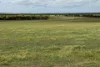 McLaren Road, Nyabing, WA 6341-Image