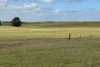 McLaren Road, Nyabing, WA 6341-Image