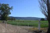 "Mirrabooka" 797 Eualdrie Road, Grenfell, NSW 2810-Image