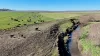 "Mountain Glen" Oakey Pittsworth Road, Oakey, Qld 4401-Image