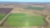 "Mountain Glen", Oakey QLD 4401-Image