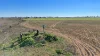 "Mountain Glen", Oakey QLD 4401-Image