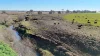 "Mountain Glen", Oakey QLD 4401-Image