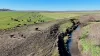 "Mountain Glen", Oakey QLD 4401-Image
