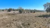 "Mountain Glen", Oakey QLD 4401-Image
