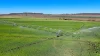 "Mountain Glen", Oakey QLD 4401-Image