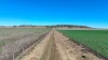 "Mountain Glen", Oakey QLD 4401-Image