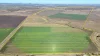 "Mountain Glen", Oakey QLD 4401-Image